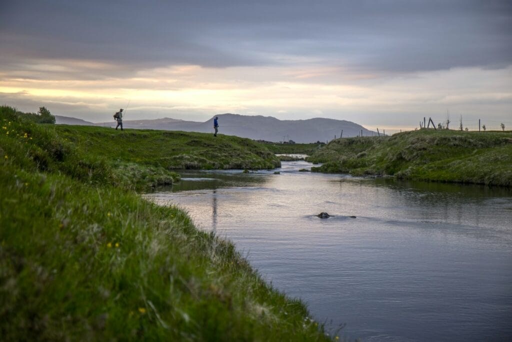 Ultimate Guide To Fishing in Iceland