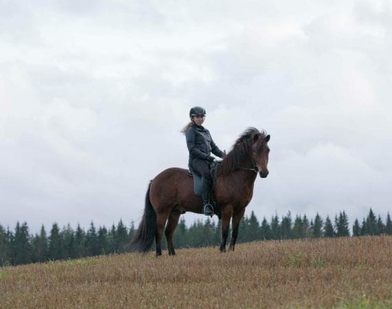 Woman sitting on the Icelandic horse and Horse Riding in Iceland