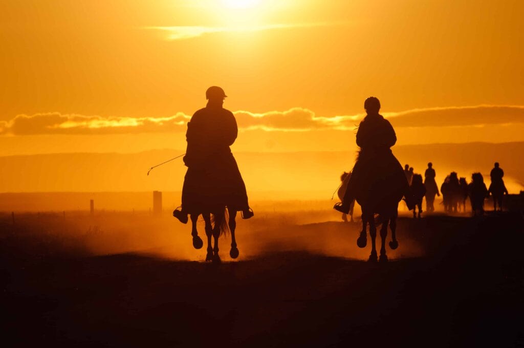 Horse Riding in the sunset in Iceland