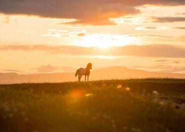 The Midnight Sun in Iceland – A Detailed Touring Guide