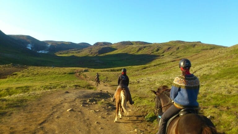 family horse riding tour in south Iceland