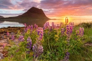 Kirkjufell mountain and Kirkjufellsfoss waterfall at sunset in Snæfellsnes Peninsula