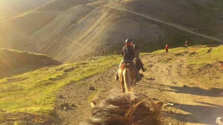 Horse Riding in Iceland