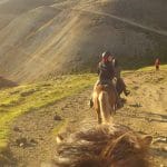 Horse Riding in Iceland