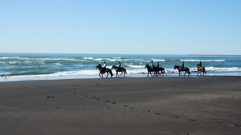 Black Beach Horse Riding tour in Iceland