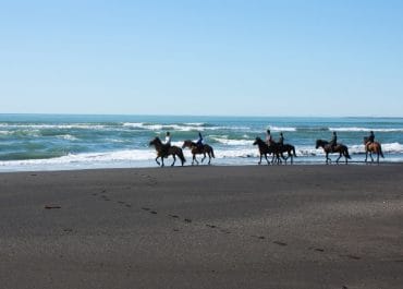 Black Beach Horseback Riding in South Iceland