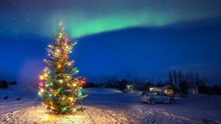 northern lights during Christmas Holidays in Iceland