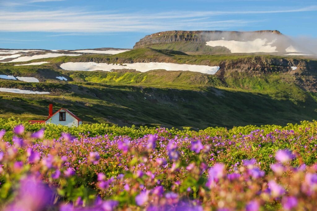 Hornstrandir Nature Reserven in the Westfjords of Iceland