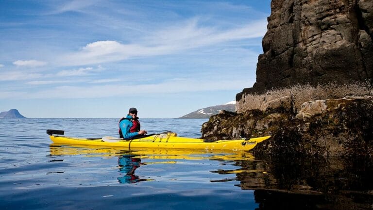 Coastal Kayaking Adventure in the Westfjords of Iceland
