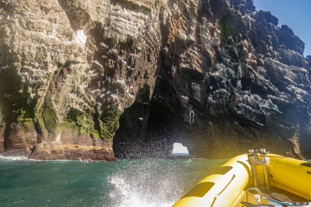 boat tour in Westman Islands