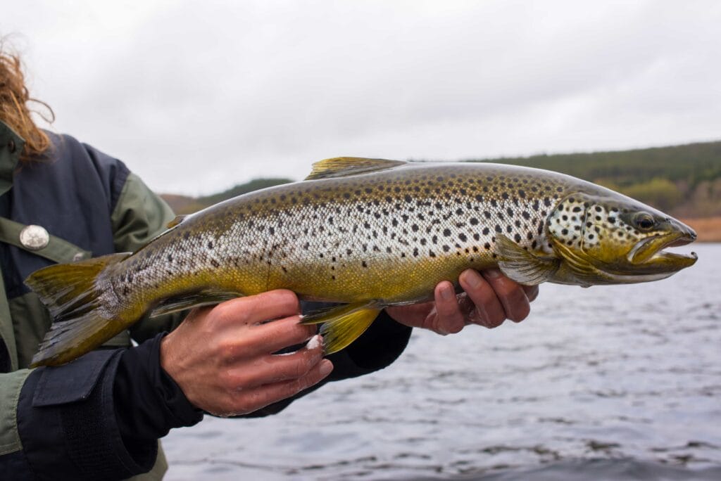 Fishing Tours, Fishing in Iceland - Iceland Tours