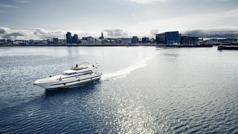 Luxury Whale Watching Tours Booking Iceland