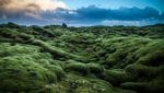 lava fields on Reykjanes Peninsula private tour Packages