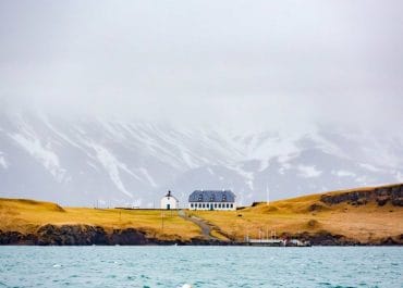 Viðey Island | The Magnificent Island Next to Reykjavik