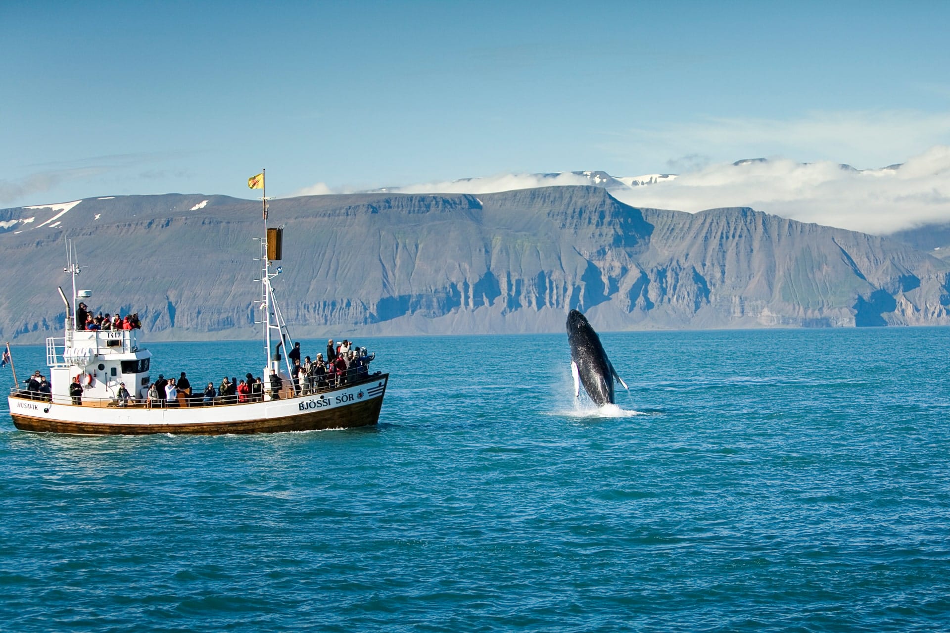 Húsavík Shore Excursions - Iceland Travel Guide