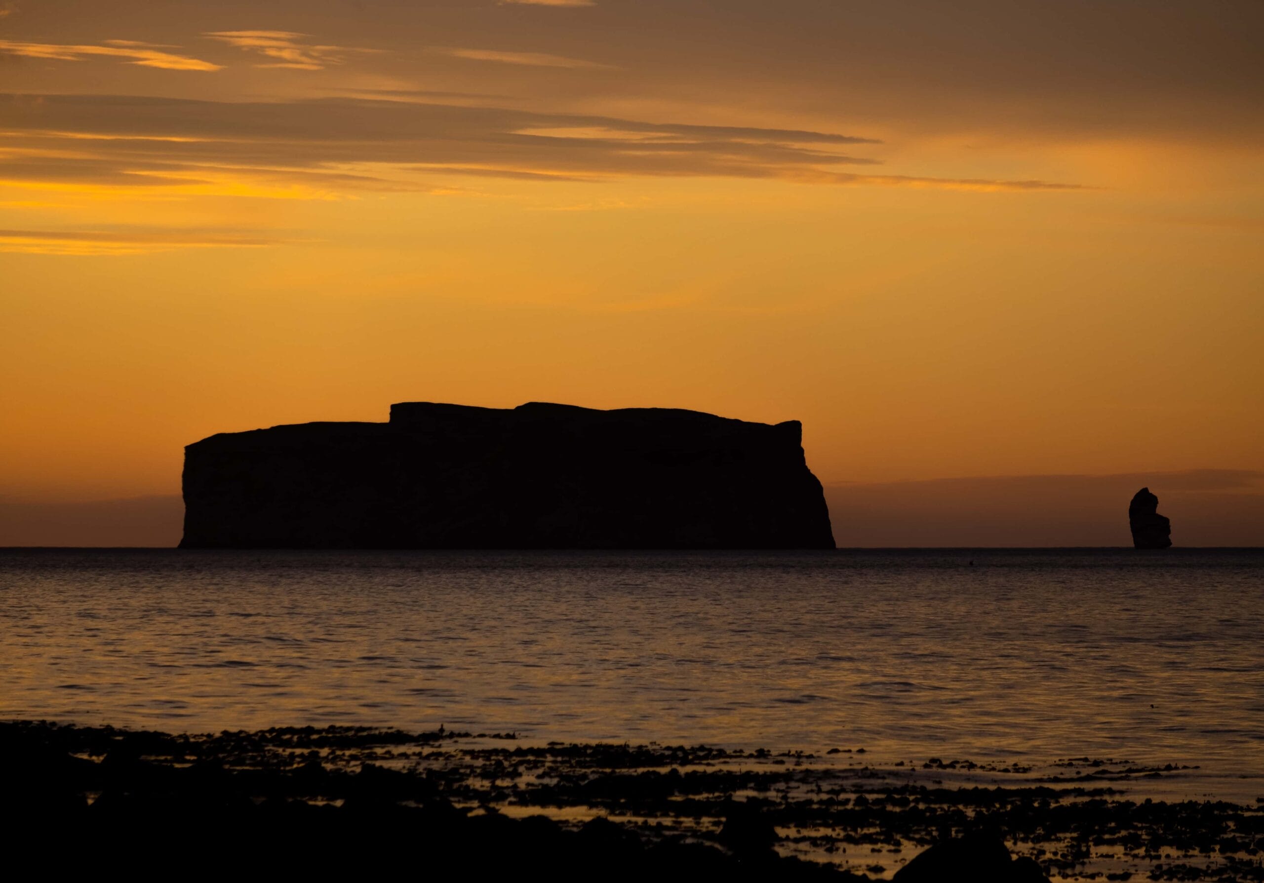 Drangey Island A Birdwatching Paradise Iceland Travel Guide