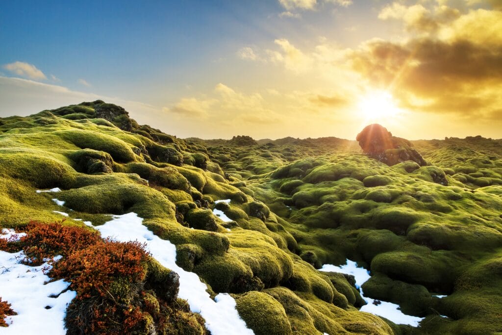 Eldhraun lava fields - South Iceland lava Caves Tour