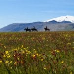 Snaefellsnes Horseback Riding in Iceland