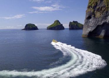 Westman Islands 2 hour RIB boat tour | Elephant Rock - Puffins - Whales