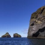 Vestmannaeyjar Boat Tour - Elephant rock, whales, puffins in Westman Islands