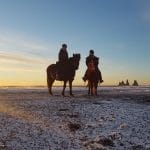 Vík Black Beach Horse Riding Tour, Vik Horseback Riding Tour, Black sand beach in Vik
