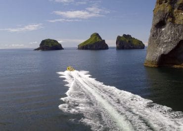 Westman Islands 1 hour RIB boat tour | Elephant Rock - Puffins - Whales