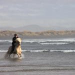 Black Beach Riding Tour in South Iceland