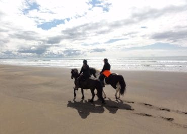 Black Beach Riding Tour in South Iceland