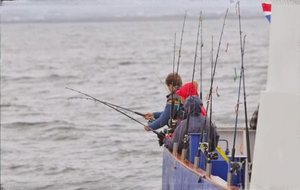 fishing tour from Reykjavik, iceland fishing tour, sunset sea angling from Reykjavik harbor
