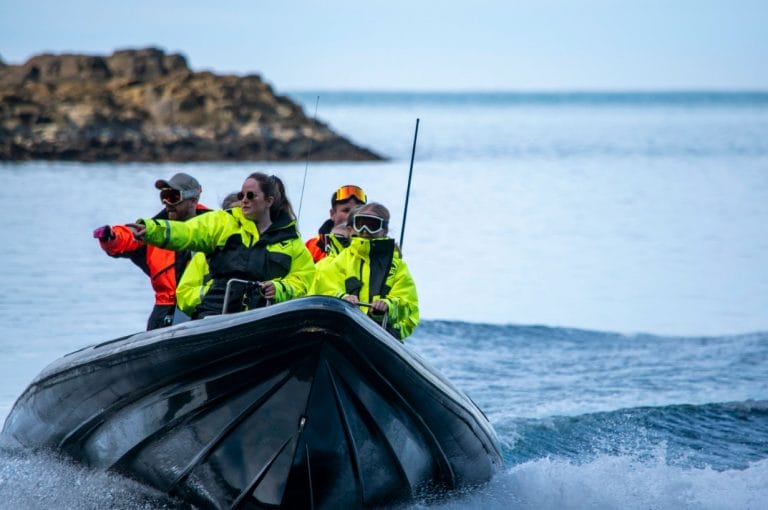 Iceland Travel Guide - RIB boat tour wildlife tour
