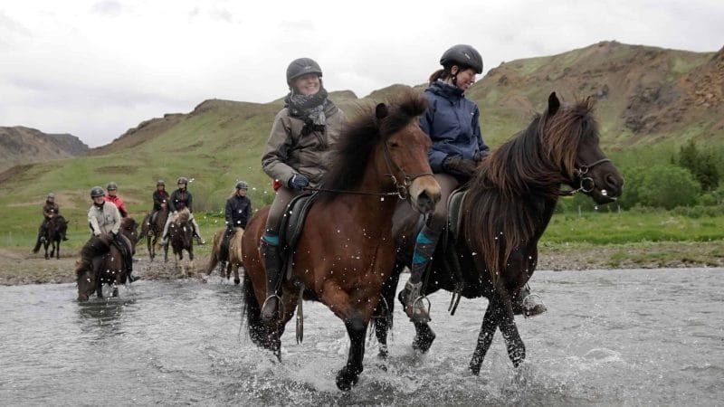 Reykjadalur valley horse riding