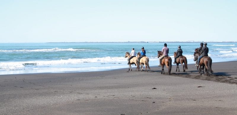 Black Beach Horse Riding tour in Iceland
