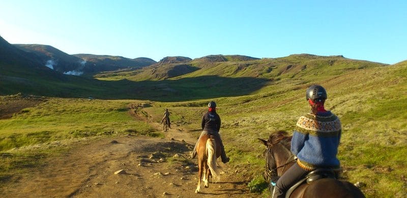 family horse riding tour in south Iceland
