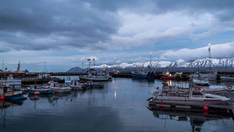 the harbor in Dalvík village in north Iceland