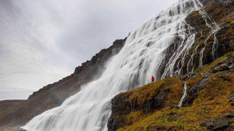 man standing in front of Dynjandi waterfall in the Westfjords