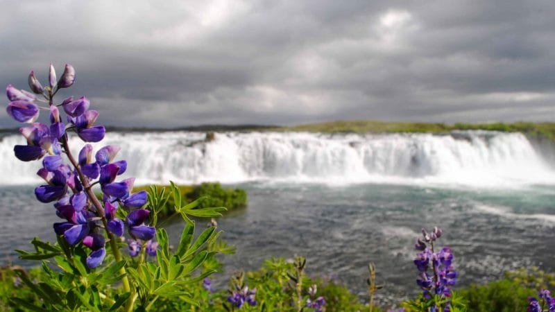 Iceland Faxi Waterfall Travel Guide