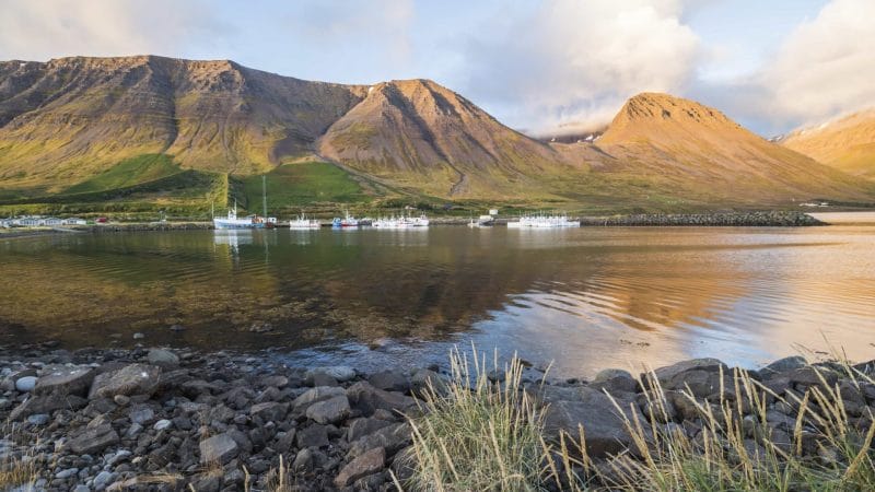 Flateyri fishing village in the Westfjords of Iceland
