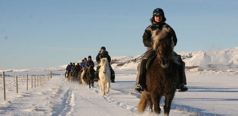 winter horse riding in Iceland