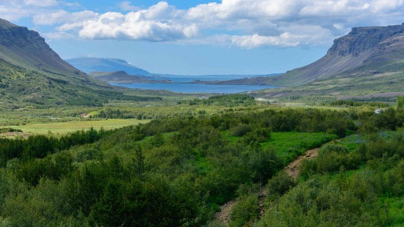 View over Hvalfjörður from Glymur Highest Waterfall in Iceland