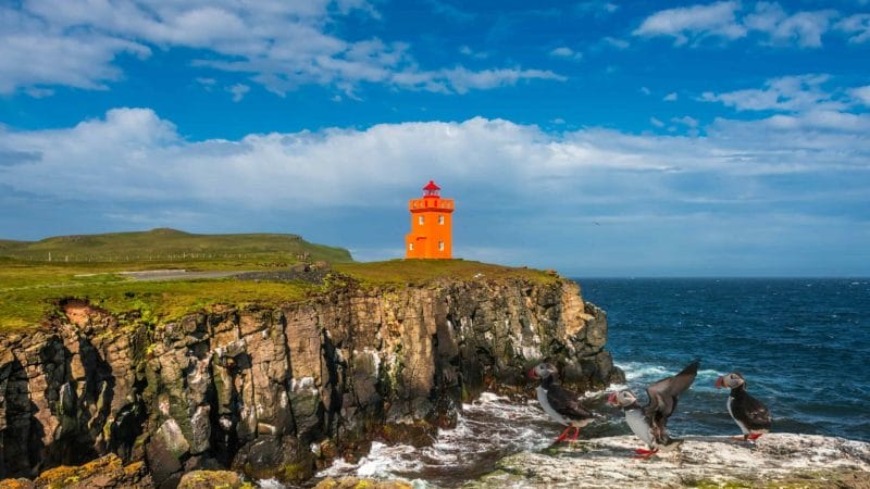 Grímsey Island