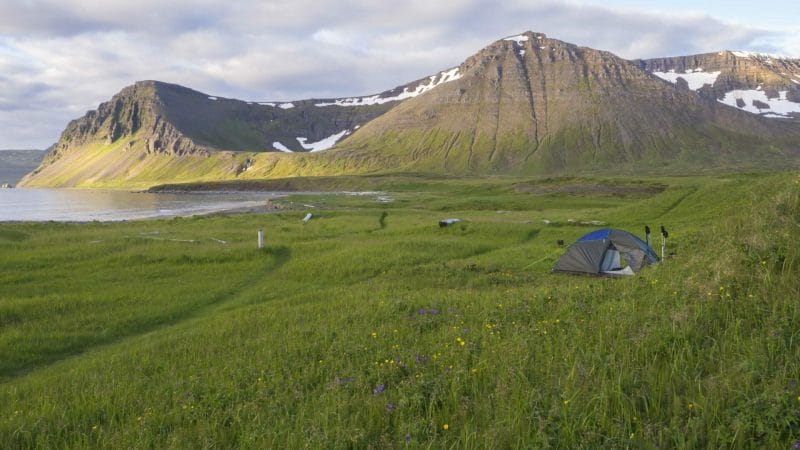 Camping in Hornstrandir Nature Reserven in the Westfjords of Iceland