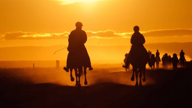 Horse Riding in the sunset in Iceland