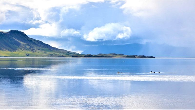 Hvalfjörður fjord in west Iceland