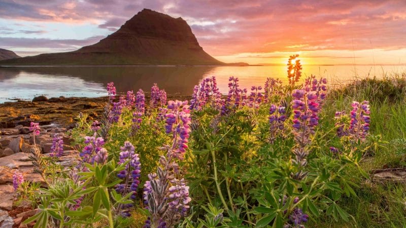 Kirkjufell mountain and Kirkjufellsfoss waterfall at sunset in Snæfellsnes Peninsula
