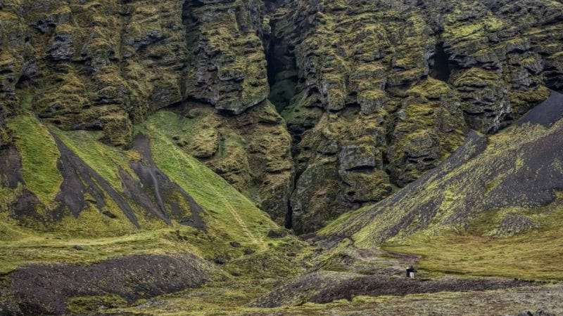 Rauðfeldsgjá Gorge in Snæfellsnes Peninsula