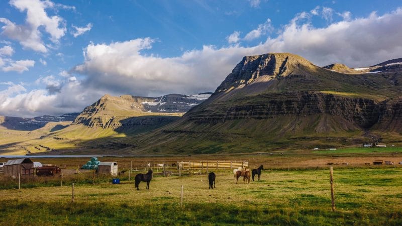 Reyðarfjörður village in Eastfjords of Iceland