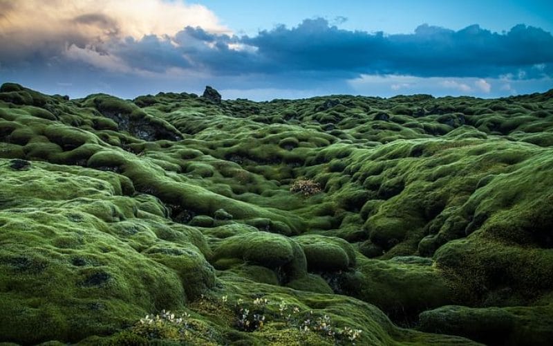 lava fields on Reykjanes Peninsula private tour Packages