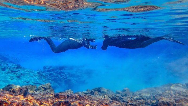 snorkeling in Silfra fissure in Þingvellir National Park, the rift between continents in Iceland north America and Europe