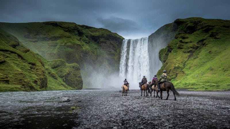 Icelandic Horses in front of Skógafoss Waterfall in South Iceland- Horse Riding Iceland