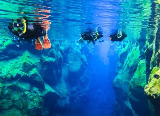 Snorkeling in Silfra, Snorkel in Iceland, Snorkel between the tectonic plates in Iceland, Snorkel in Thingvellir National Park